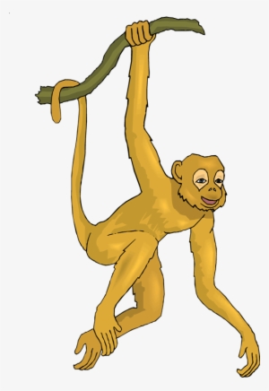 Clip Art Spider Monkey