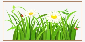 Unbelievable Girl Scouts Clip Art Daisy Pict Of Clipart - Grass Vector Real Png