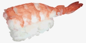 Ebi Sushi Png