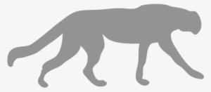 Photo Of A Cougar Cat Outline - Black Outline Of Animals