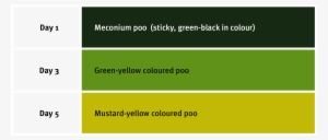 Baby Poo Colour Guide - Infant