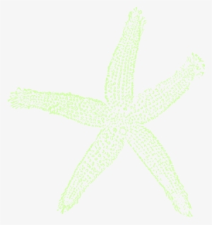 Single Starfish Clipart Png For Web