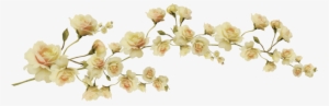 1000 Images About Png Series - Yellow Flowers Aesthetic Transparent