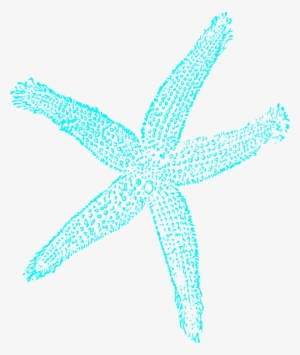 Drawn Starfish Transparent