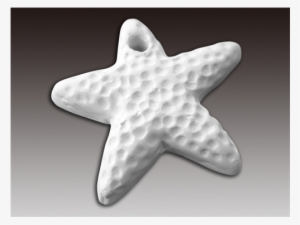 Add-ons Starfish Bead//20 Spo - Starfish