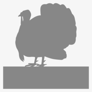 Download National Wild Turkey Federation Logo National Wild Turkey Federation Transparent Png 480x316 Free Download On Nicepng