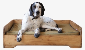 Handmade - Wooden - Dog Bed - Hunt And Wilson - Dog