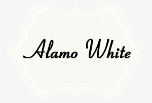 Alamo White Chalk Acrylic Paints By Shabby Paints - Paint