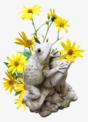 Garden, Statue, Frog, Flowers, Decoration - Sunflower