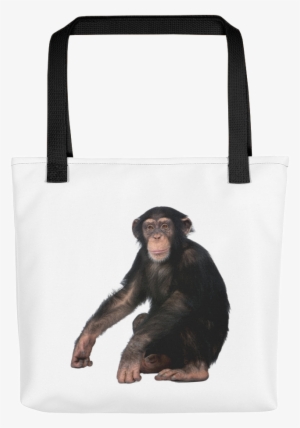 Chimpanzee Print Tote Bag - Chimpanzee White Background