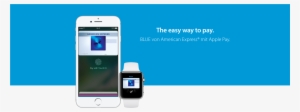 Client - Apple Pay Banner