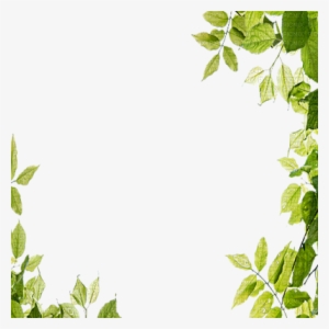 Leaves Green Frame - Leaves Frame Png