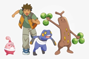 Croagunk - Happiny - Sudowoodo