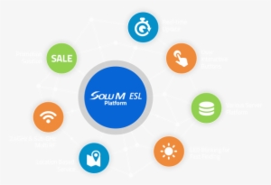Why Solum - Circle