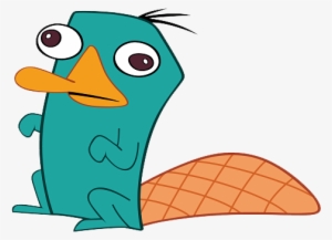 Posted By Kaylor Blakley At - Perry The Platypus