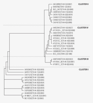 Phylogenetic Tree For Ctx M Enzymes (http - Document