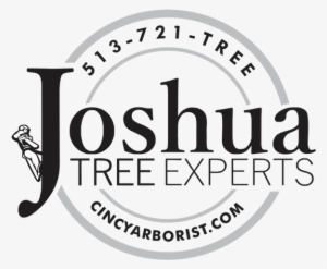 Joshua Tree Experts Joshua Tree Experts - Joshua Tree Experts