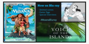 Moana On Bluray - Walt Disney Moana Blu-ray Dvd Combo Set