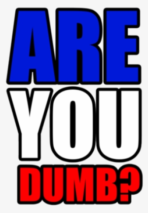 "are You Dumb" - Blog