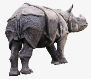 Rhinoceros Behind Png - Autodesk 3ds Max
