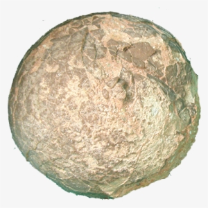 Dinosaur Egg - Igneous Rock
