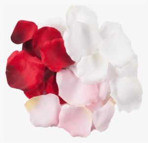 Add A Touch Of Elegance With Delicate Rose Petals Whether - Artificial Flower