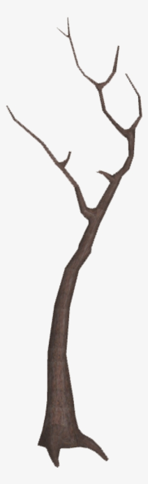 Dead Tree 5 - Illustration