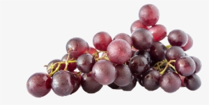 Common Grape Vine Grape Leaves Icon - Uvas Hd