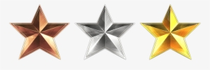 Silver Star - Organization