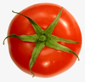 Growing Tomatoes - Tomato Top View Png