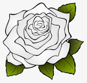 Gardenia Drawing White Rose - Bunga Mawar Icon Png