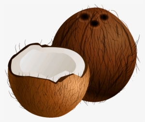 Coconut Png Image - Clip Art Picture Of Coconut