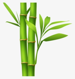 Bamboo Drawing Painting - Bamboo Clipart