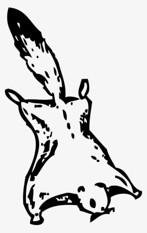 Flying Squirrel Clipart - Black And White Flying Squirrel