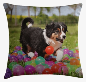 Cuddle Up To Your Favorite Memories With Personalized - Border Collie