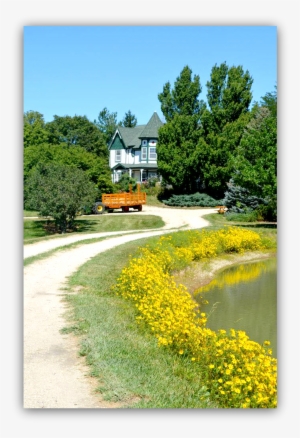 Cider Hill Road