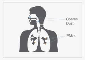 How Can Fine Particles Affect Me - Health Effects Of Air Particulate