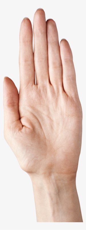 Hand Showing Five Fingers Png Clipart Picture - Five Fingers Hand Png