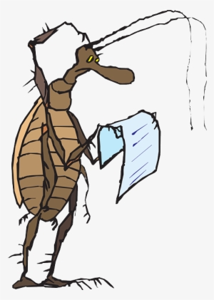 Head, Paper, Reading, Cartoon, Bug, Insect, Scratch - Animal Reading Confused Cartoon
