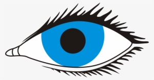 Human Eye Visual Perception Eyelash Iris - Eye With No Background