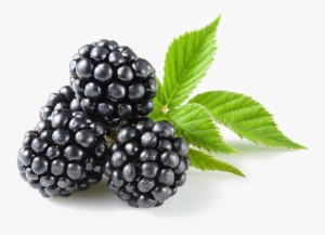 Blackberry Fruit Png Transparent Image - Low Carb Fruits