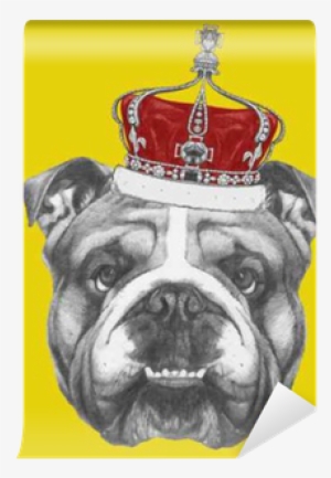 Hand Drawn Portrait Of English Bulldog With Crown - Art Print: Victoria Novak's Original Drawing Of English