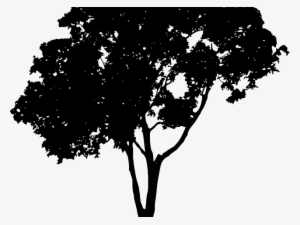Tree Vector Png - Tree Vector Silhouette Free