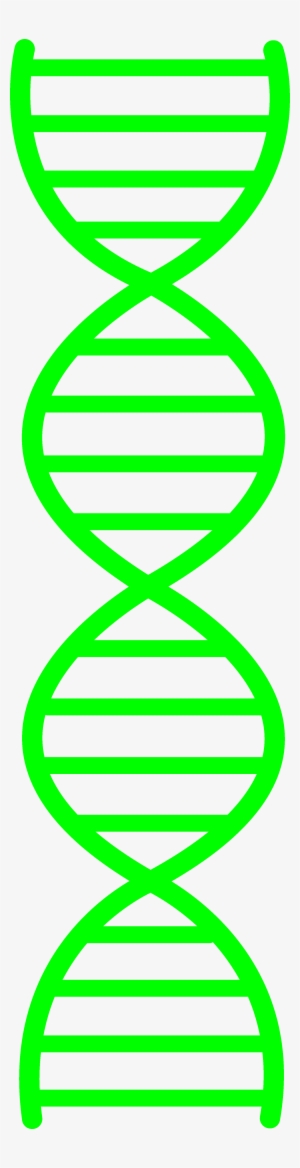 Green Clipart Dna - Double Helix Clipart