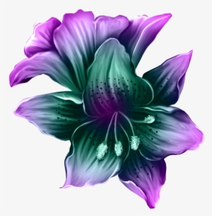 Clip Art Download Amaryllis Drawing Purple Lily Flower - Swan Decoupage