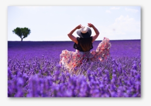 Twirling Away In Ocean Of Lavender In Provence - Provence