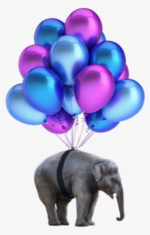 Elephant Png Nobackground Balloons - Balões Roxo Png