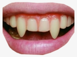 Vampire Teeth Png