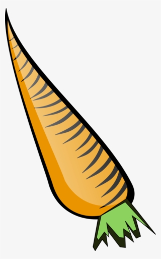 Carrot Svg Clip Arts 372 X 597 Px