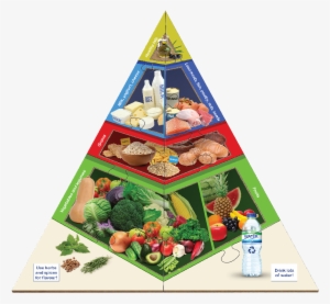 Large Food Pyramid Floor Puzzle - Food Pyramid Puzzle 10 Pieces